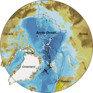 Figure 1. Expedition cruise tracks of the I/B Oden in the Arctic Ocean. White circles indicate locations of sediment cores logged by SU’s MSCL during the past 20 years.